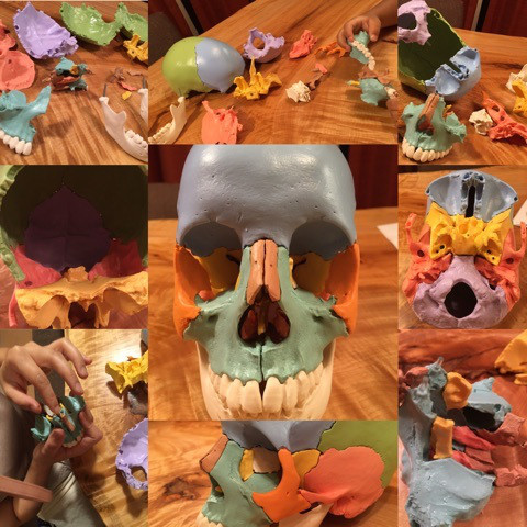 {5372F532-A8BF-4AB0-BE26-0728347CF1D7}