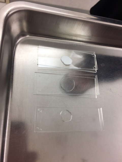 {5E5914FA-BC64-4260-BCD4-5F213FA32F40}