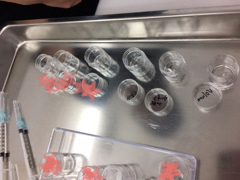 {9730C4F1-6163-4780-B5BC-5DC0967A9DB5}